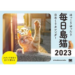 ’23 毎日島猫日めくりカレンダー