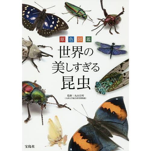 原色図鑑世界の美しすぎる昆虫/丸山宗利