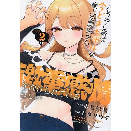 どうやら俺は今どきギャルな歳上幼馴染 2