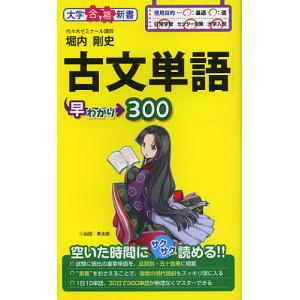 古文単語早わかり300/堀内剛史