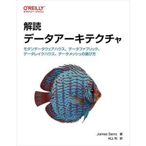 解読データアーキテクチャ モダンデータウェアハウ...の商品画像