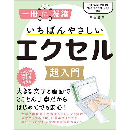 いちばんやさしいエクセル超入門/早田絵里