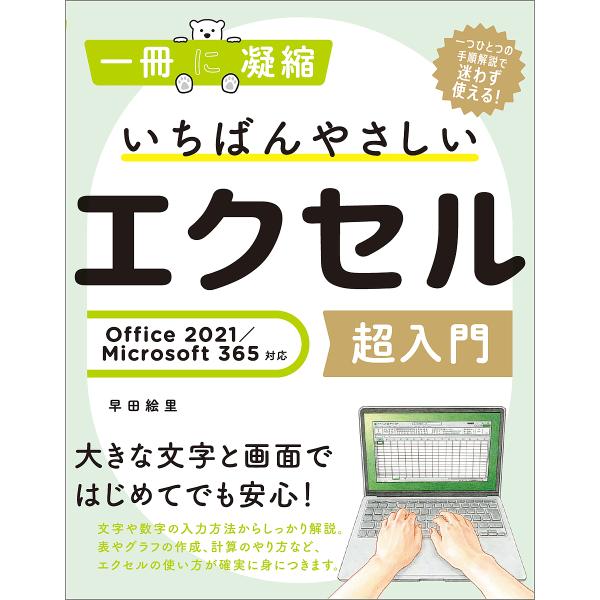 いちばんやさしいエクセル超入門/早田絵里