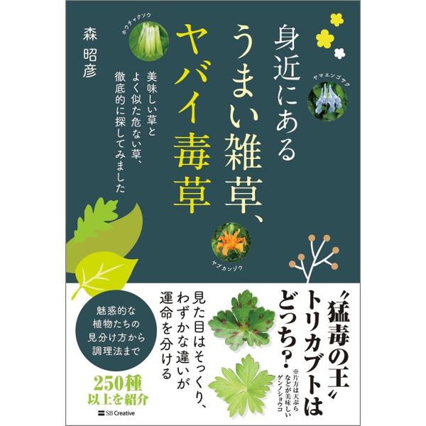身近にあるうまい雑草、ヤバイ毒草 美味しい草とよく似た危ない草、徹底的に探してみました/森昭彦