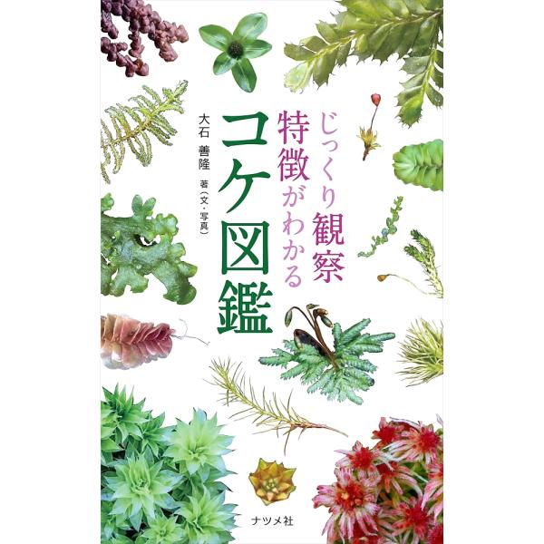 じっくり観察特徴がわかるコケ図鑑/大石善隆