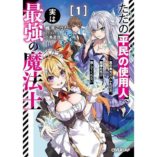 ただの平民の使用人、実は最強の魔法士 真の実力がバレた結果、姫様たちが離してくれない 1/楓原こうた