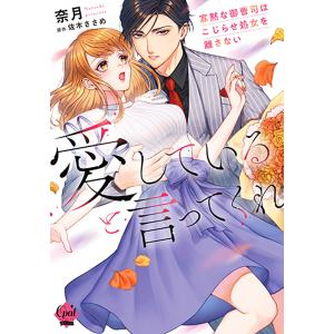 愛していると言ってくれ 寡黙な御曹司はこじらせ処女を離さない/奈月/佐木ささめ