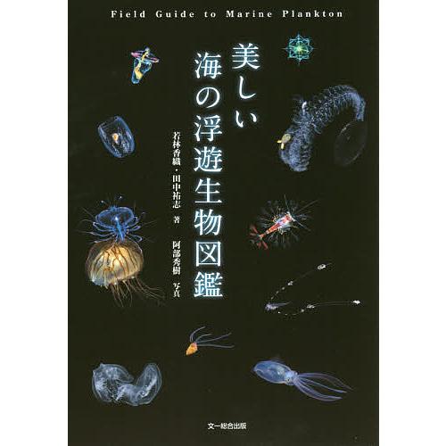 美しい海の浮遊生物図鑑/若林香織/田中祐志/阿部秀樹