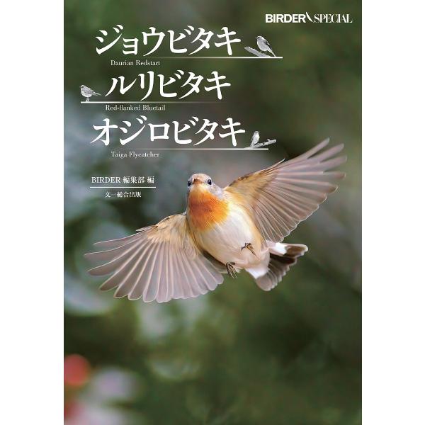 ジョウビタキ・ルリビタキ・オジロビタキ/BIRDER編集部