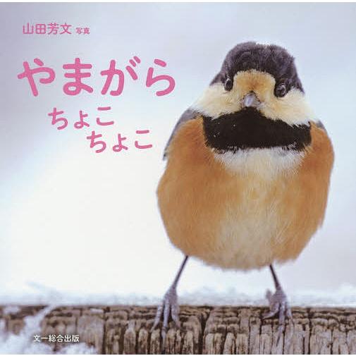 やまがらちょこちょこ/山田芳文