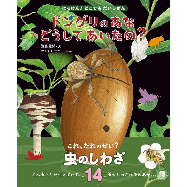 ドングリのあなどうしてあいたの? これ、だれのせい?虫のしわざ14/かんちくたかこ/箕輪義隆/奥山清...