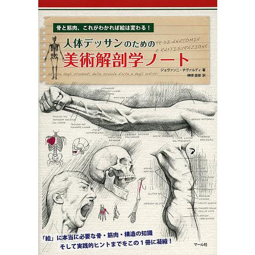 人体デッサンのための美術解剖学ノート 骨と筋肉、これがわかれば絵は変わる!/ジョヴァンニ・チヴァルデ...