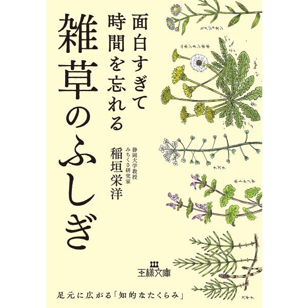 面白すぎて時間を忘れる雑草のふしぎ/稲垣栄洋