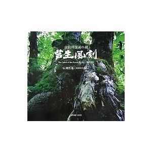 芦生風刻 由良川源流の森/広瀬慎也