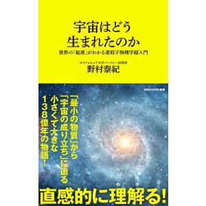 宇宙はどう生まれたのか 世界の「起源」がわかる素粒子物理学超入門/野村泰紀