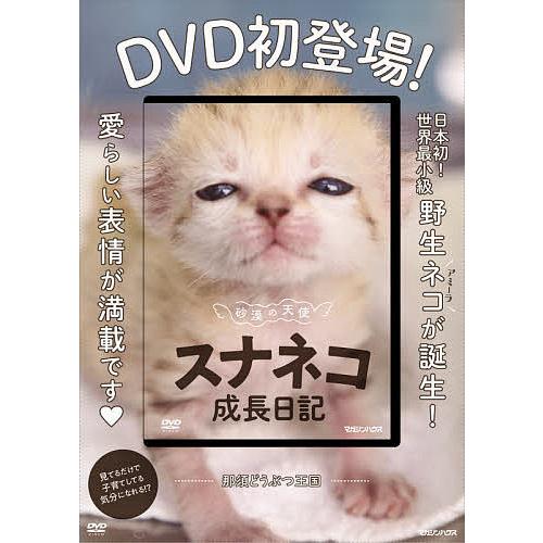 DVD 砂漠の天使 スナネコ成長日記