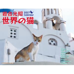 〔予約〕岩合光昭 世界の猫カレンダー 2027/岩合光昭