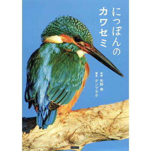 にっぽんのカワセミ/矢野亮/ポンプラボ