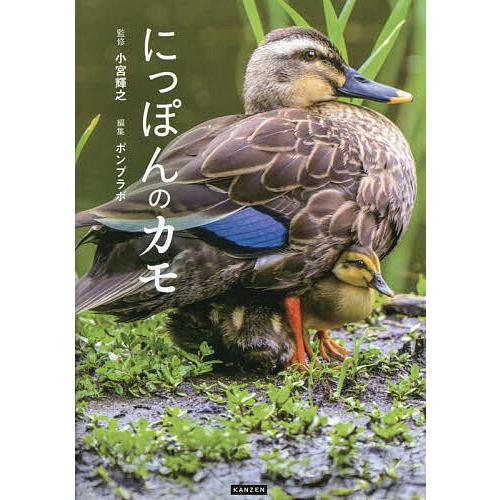 にっぽんのカモ/小宮輝之/ポンプラボ