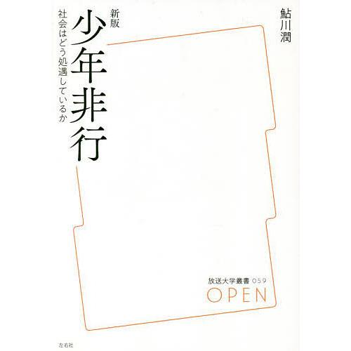 少年非行 社会はどう処遇しているか/鮎川潤