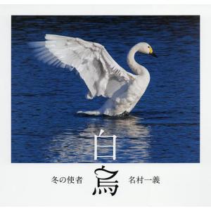 冬の使者白鳥/名村一義｜bookfan