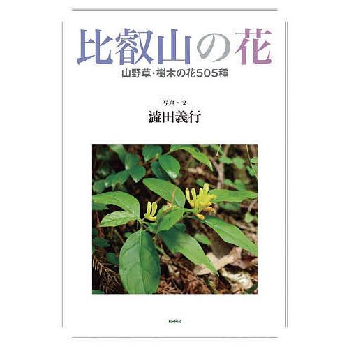 比叡山の花 山野草・樹木の花505種/澁田義行