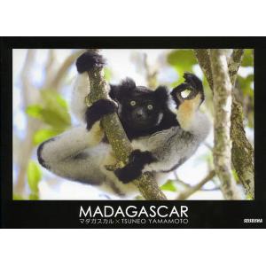 MADAGASCAR マダガスカル×TSUNEO YAMAMOTO / 山本つねお