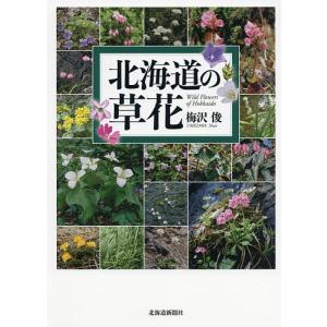 北海道の草花/梅沢俊の商品画像