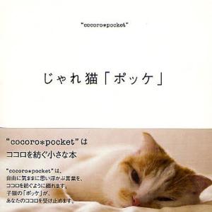 じゃれ猫「ポッケ」/飯塚水葉｜bookfan