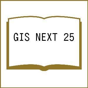 GIS NEXT 25の商品画像