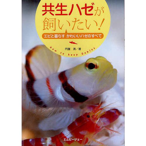 共生ハゼが飼いたい! エビと暮らすかわいいハゼのすべて/円藤清