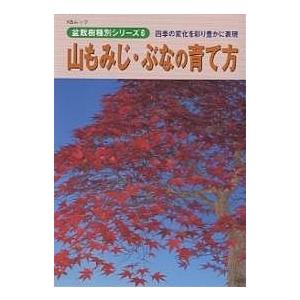 山もみじ・ぶなの育て方