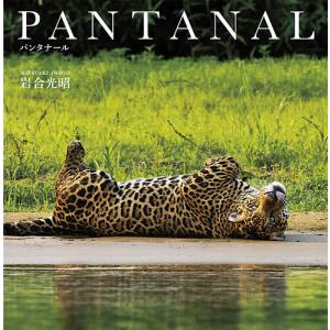 PANTANAL / 岩合光昭
