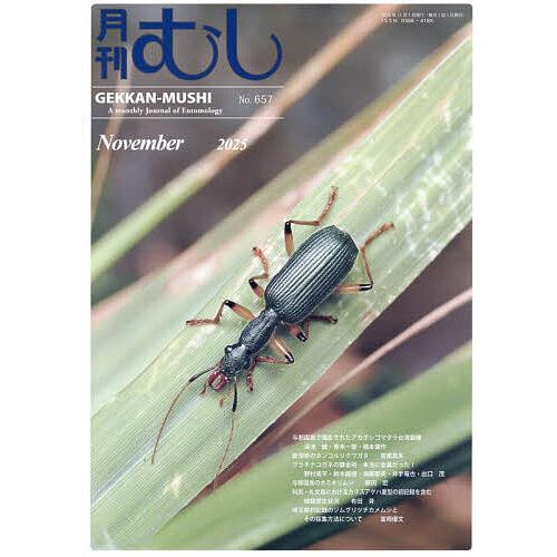 月刊むし 2025年11月号