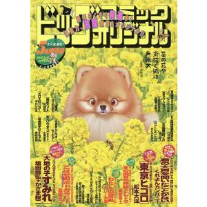 増刊号 2020年5月号 【BCオリジナル増刊号】の商品画像