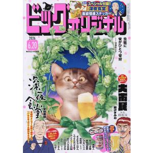 ビッグコミックオリジナル 2026年6月20日号
