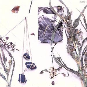 夏のぬけがら/真島昌利 : ブックオフ2号館 ヤフーショッピング店