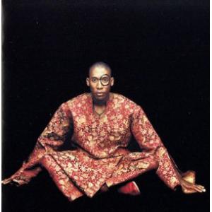 ラファエル サーディク RAPHAEL SAADIQ インスタント ヴィンテージ  INSTANT VINTAGE