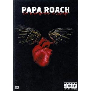 シカゴ殺人ライヴ パパ・ローチの買取情報