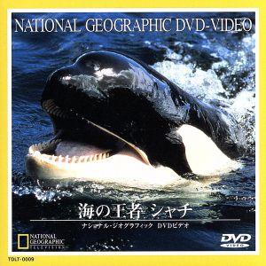 海の王者シャチの高価買取価格