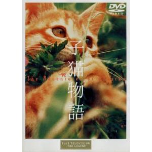 子猫物語／畑正憲 （監督、脚本） 市川崑 （協力監督） 日枝久 （製作） 緒方悟 （プロデューサー） 坂本龍一 （作曲） 谷川俊太郎 （詩） 小泉今の商品画像