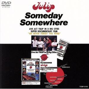 Someday Somewhere チューリップの買取情報