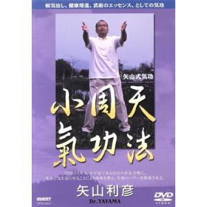 矢山式気功法 小周天/矢山利彦