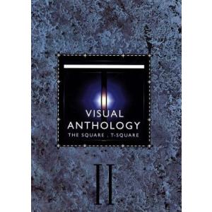 ＶＩＳＵＡＬ ＡＮＴＨＯＬＯＧＹ ＶＯＬ．II／Ｔ−ＳＱＵＡＲＥの商品画像