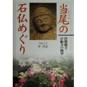 当尾の石仏めぐり 浄瑠璃寺・岩船寺の四季／中淳志(その他)