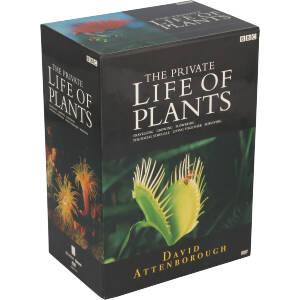 BBCドキュメント100シリーズ プライベート・ライフ・オブ・プランツ/植物の世界 DVD-BOX/(ドキュメン　