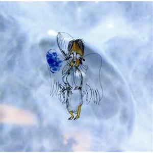 Yori Yoyo/OORUTAICHI