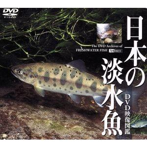 日本の淡水魚　ＤＶＤ映像図鑑／（動物）