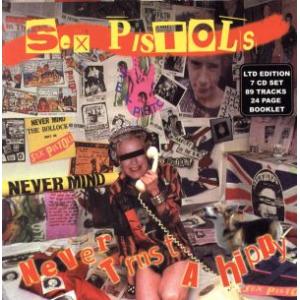 ネヴァー・トラスト・ア・ヒッピー/セックス・ピストルズ