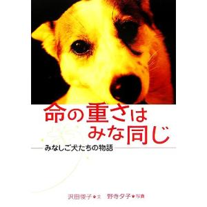 命の重さはみな同じ みなしご犬たちの物語 動物感動ノンフィクション/沢田俊子【文】,野寺夕子【写真】